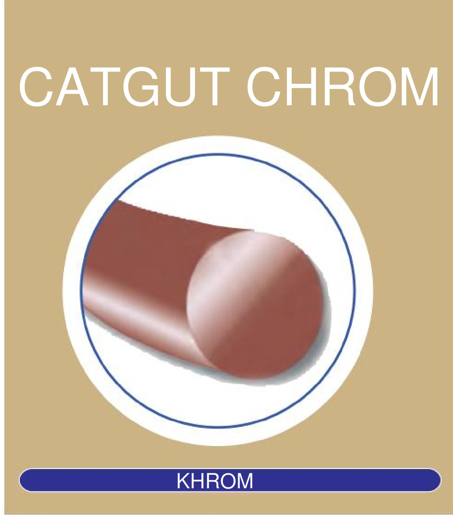 Catgut Chromic TP 2/0 HR 26 mm 